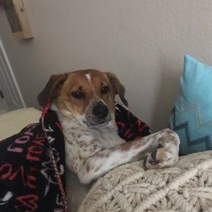 Meet your Posher, Emma